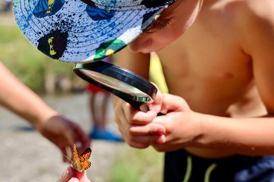 En busca de lo invisible