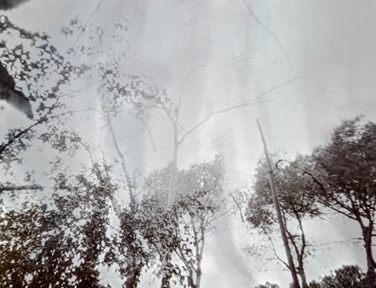 Talhèr de fotografia estenopeica